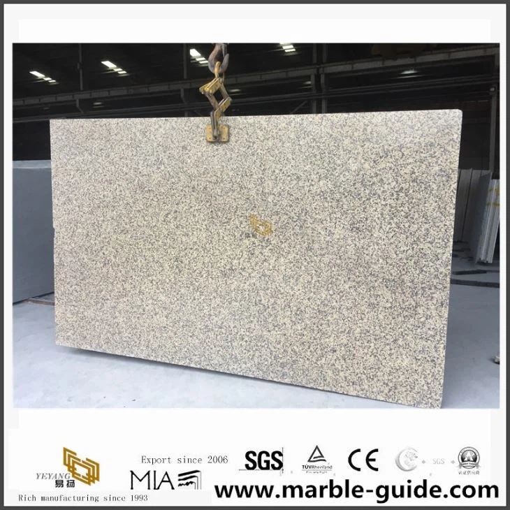 Chrysanthemum Yellow Granite Stone